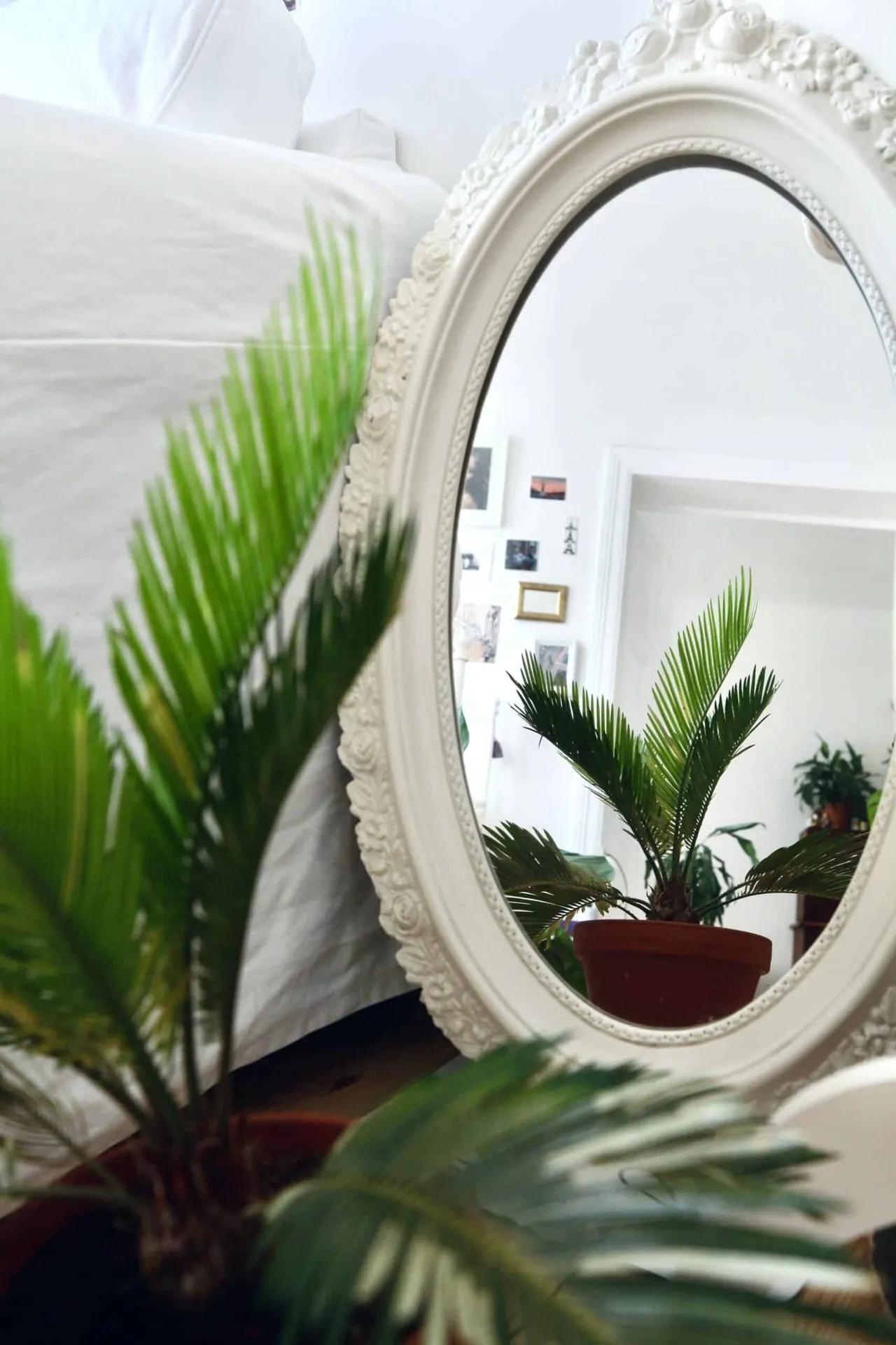 How To Clean a Mirror and Achieve That Streak-Free Shine (In 5 Easy Steps)