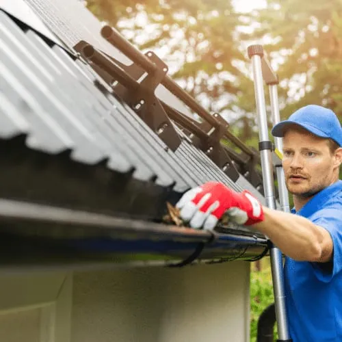 Professional Gutter Cleaning and Pest Prevention: Keeping Unwanted Guests Away