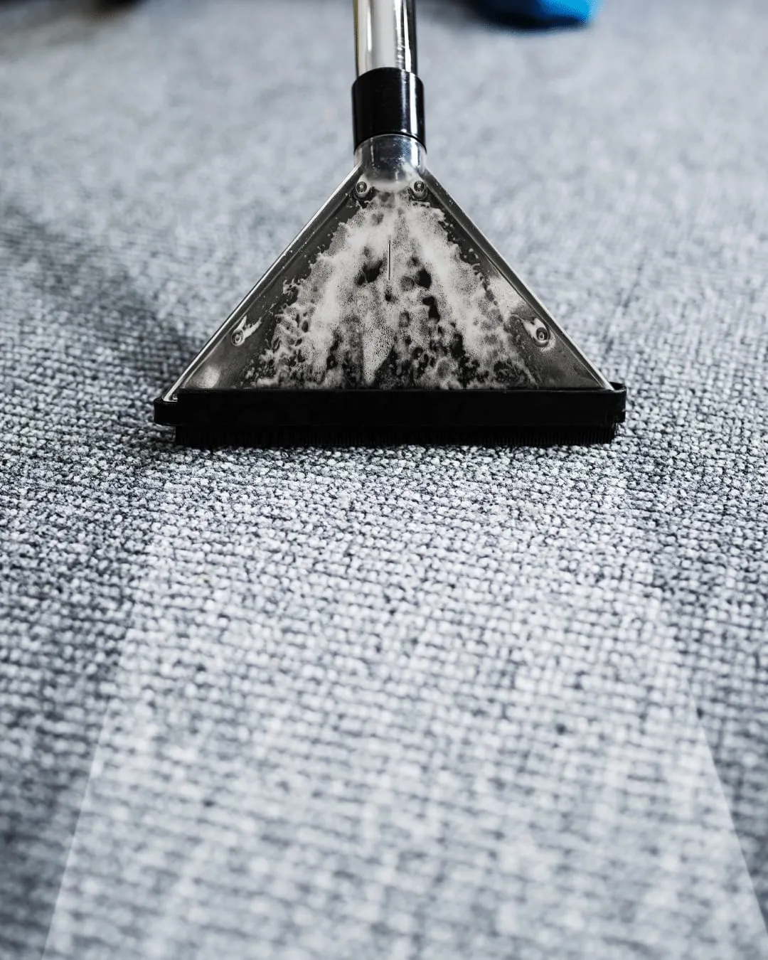 7 Benefits Of Professional Carpet Cleaning 