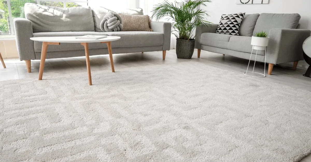 Summer Carpet Cleaning Tips for Fresh, Clean Homes