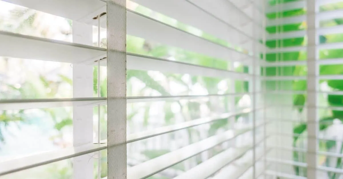 Professional Blind Cleaning Near Me: Why DIY Isn’t Always Best