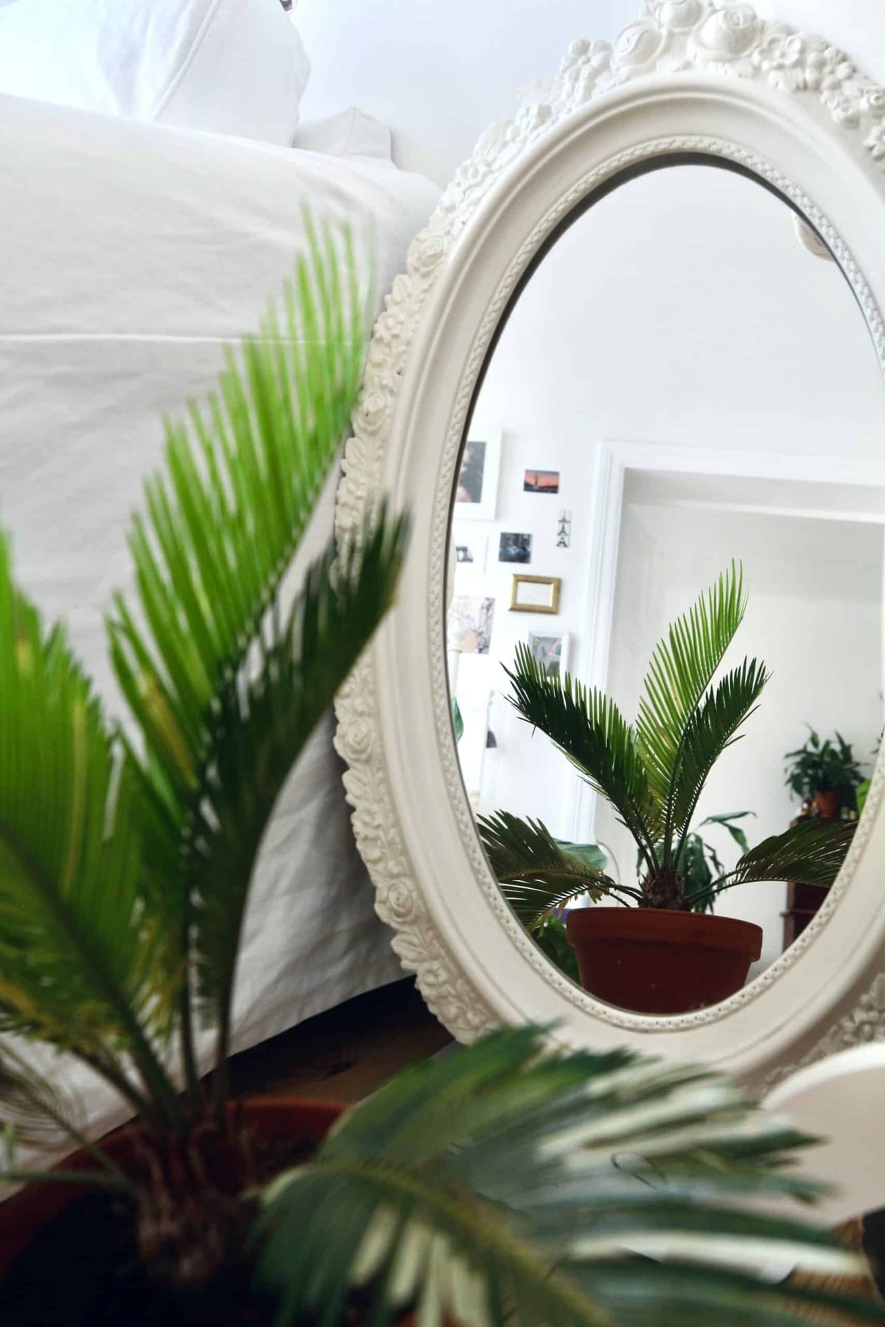 How To Clean a Mirror and Achieve That Streak-Free Shine (In 5 Easy Steps)