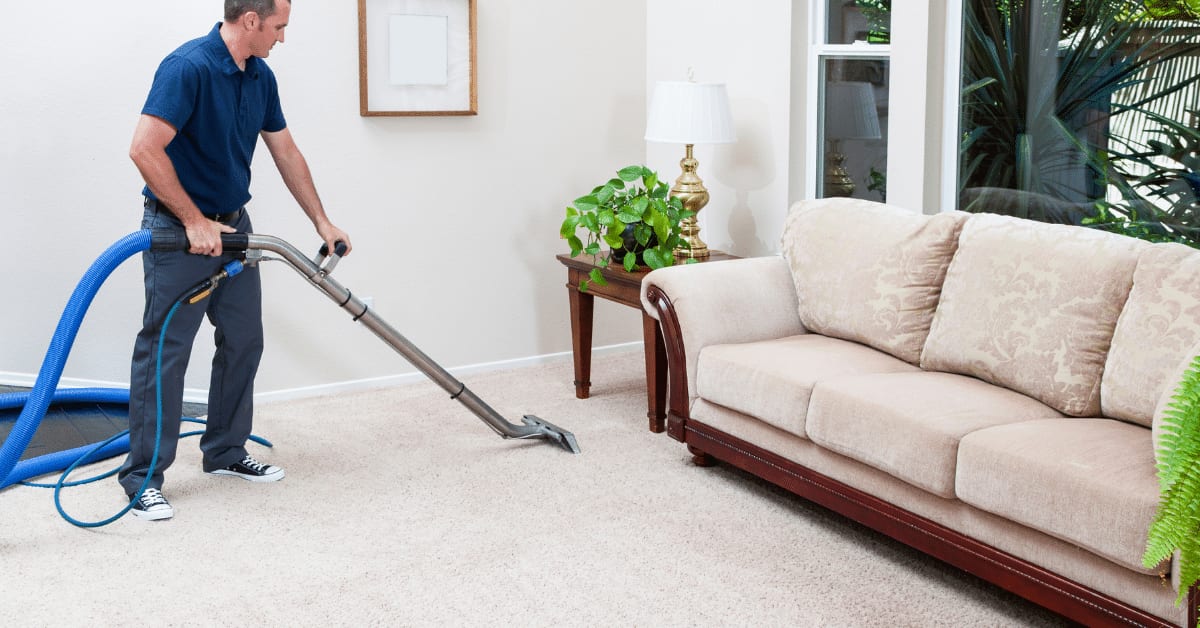 10 Essential Carpet Cleaning Tips: Complete Guide to Stain Removal and Deep Cleaning