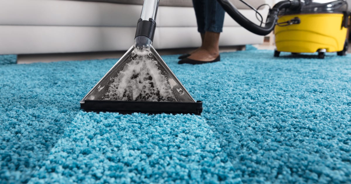 Discover Top Residential Carpet Cleaning Near Me