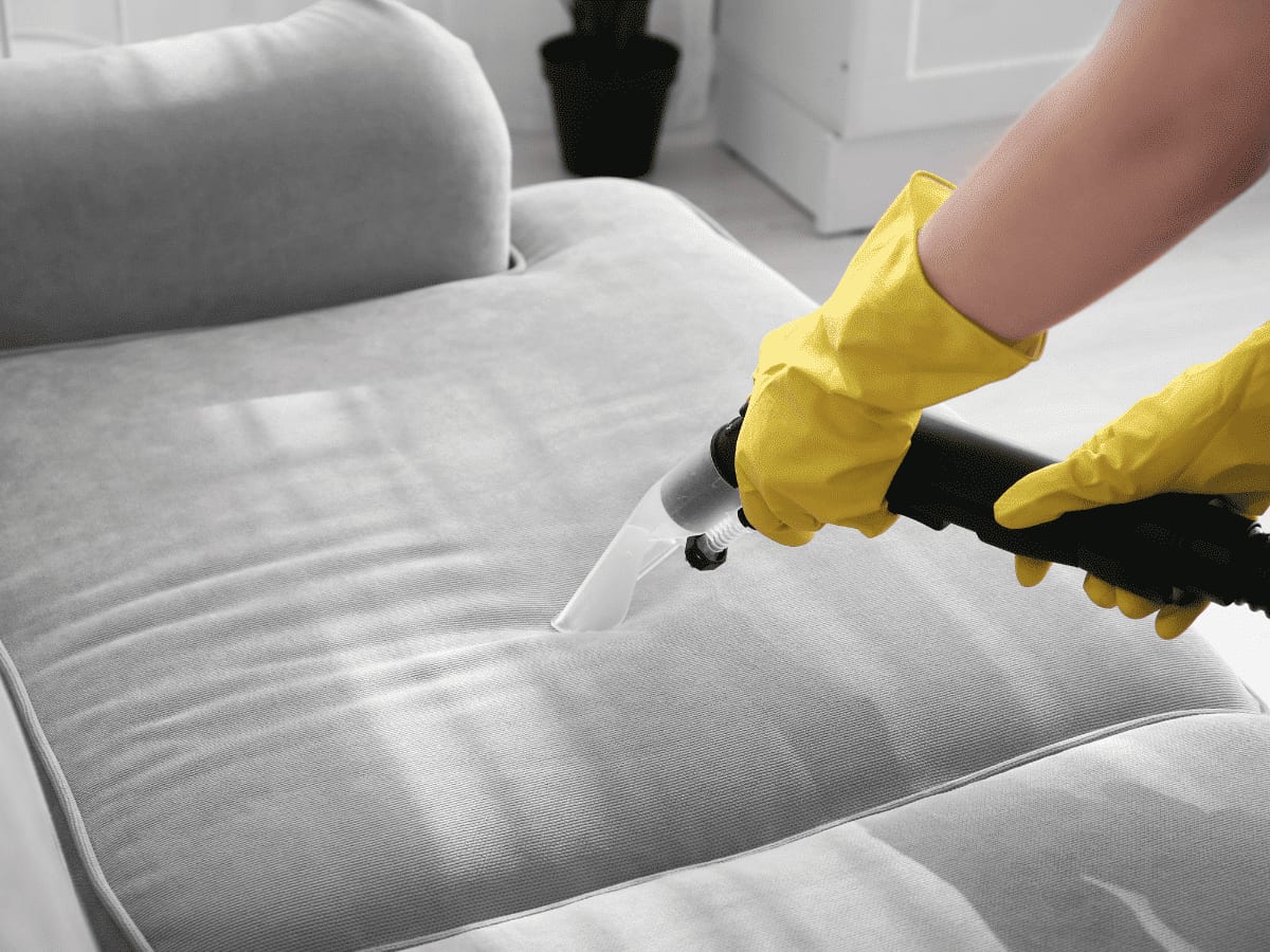 5 Huge DIY Couch Cleaning Mistakes To Avoid 