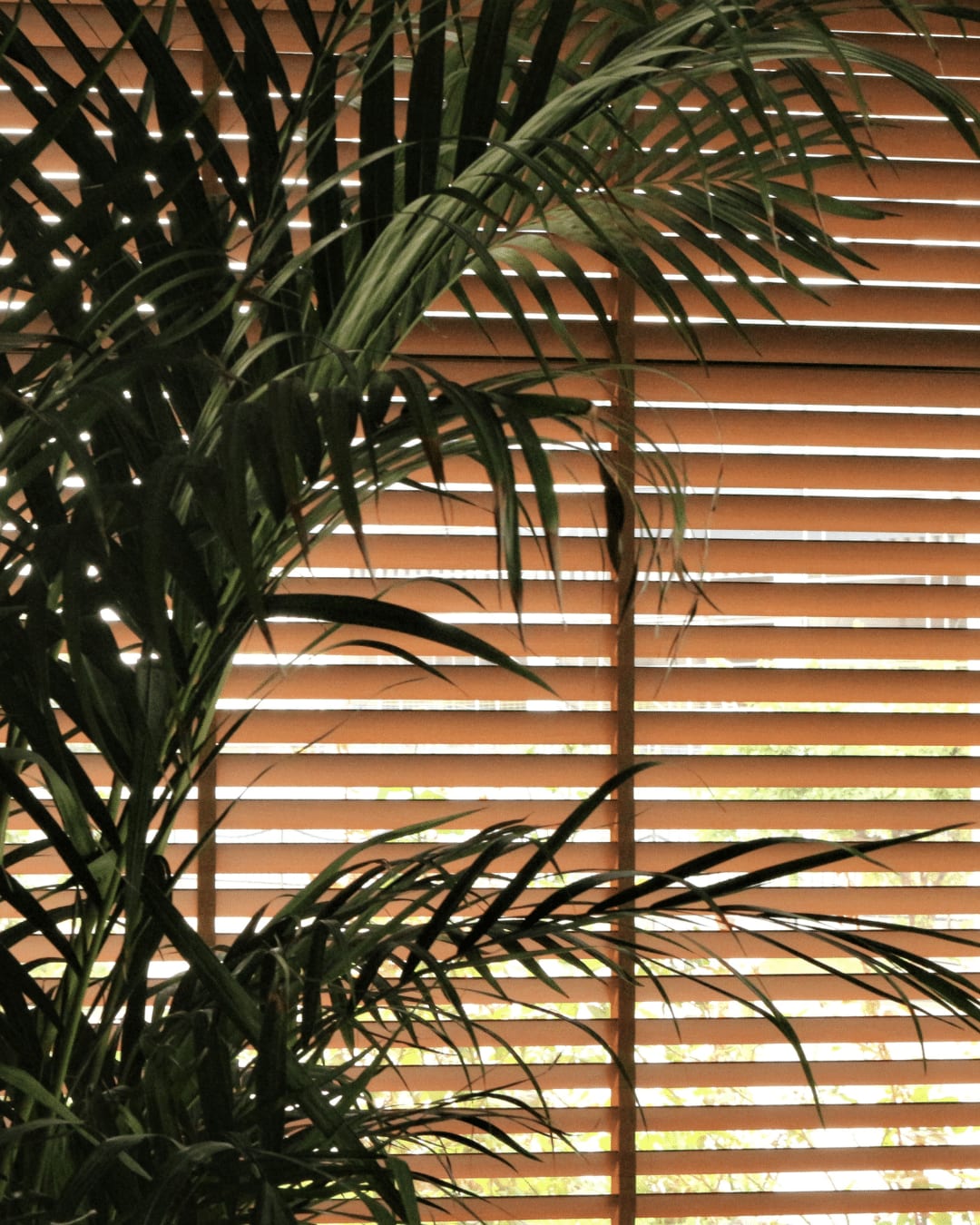 How to Clean Wood Blinds