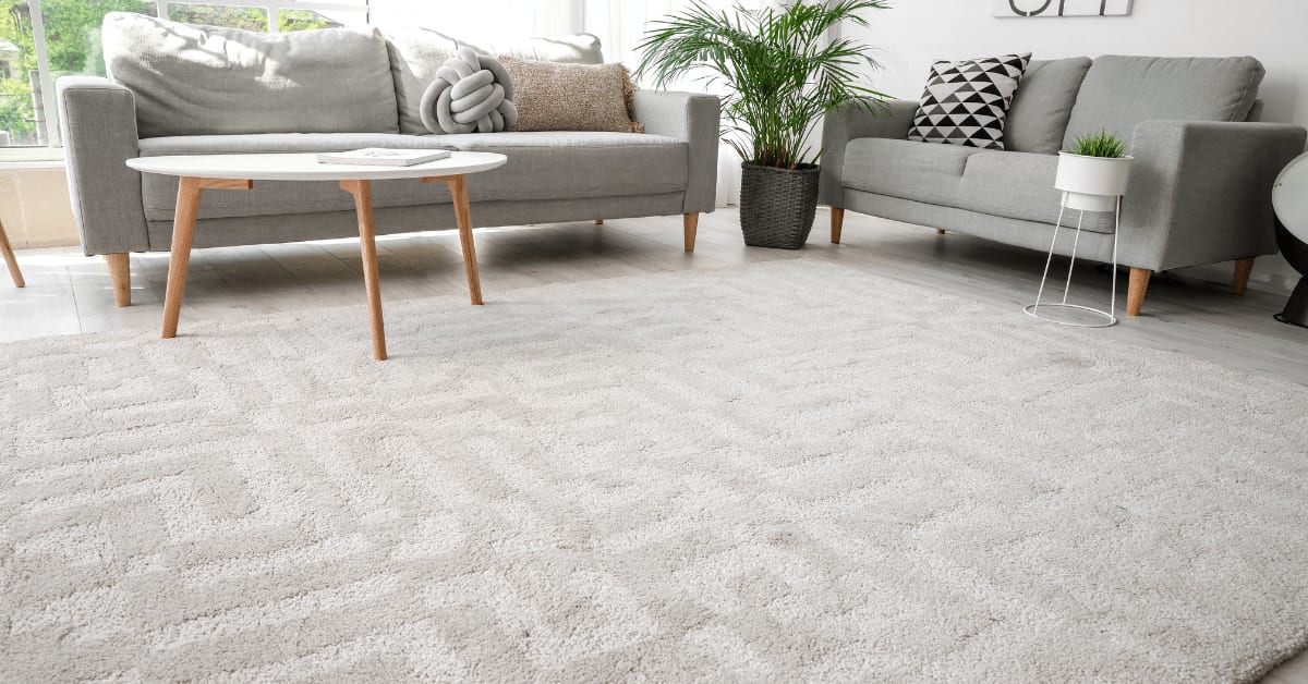 Summer Carpet Cleaning Tips for Fresh, Clean Homes
