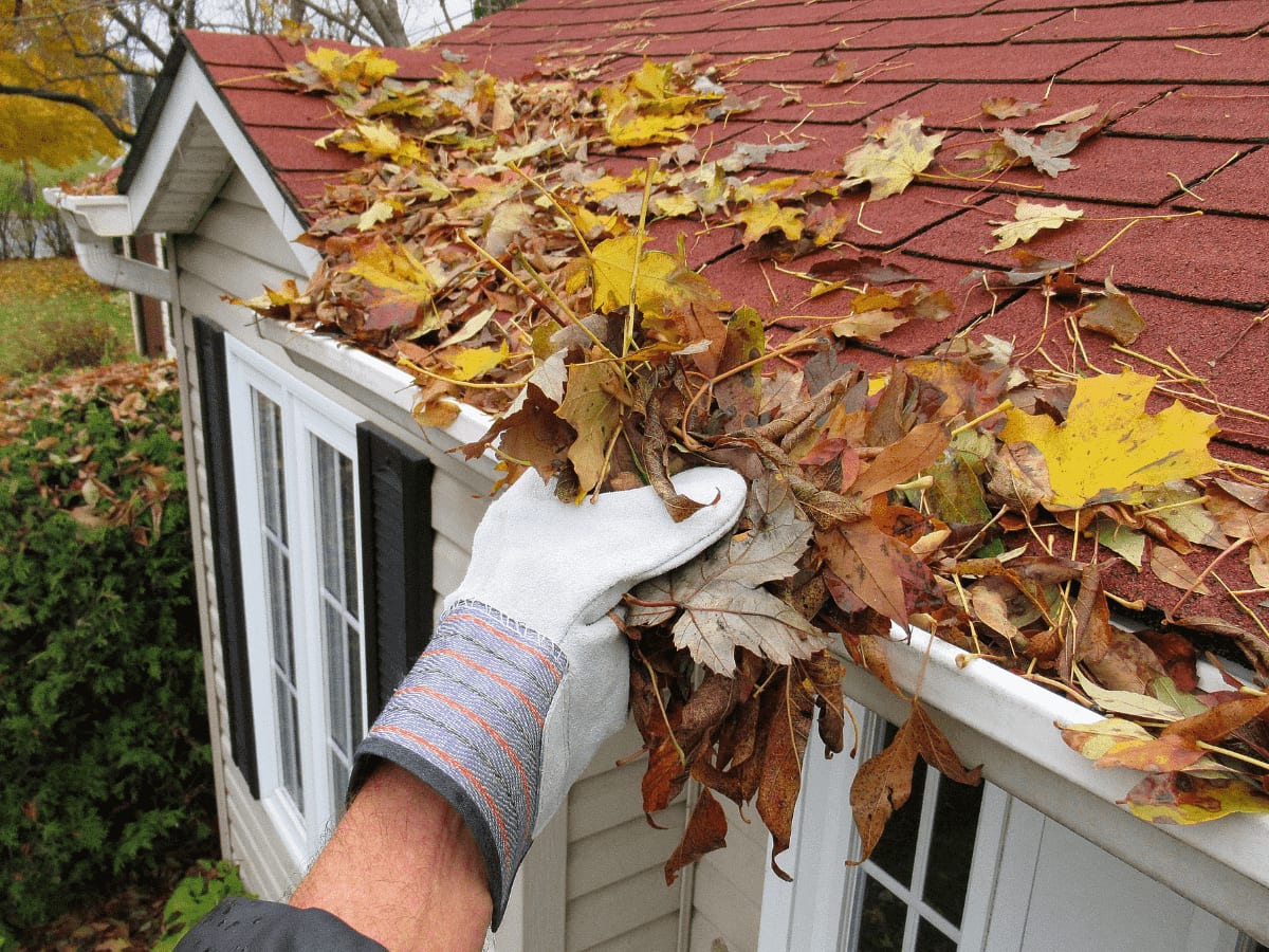4 Huge Reasons to Clean the Gutters on Your Home Before Winter