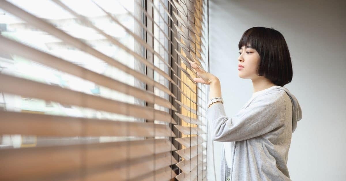 Venetian Blind Cleaning: Costs, Tips, and Methods