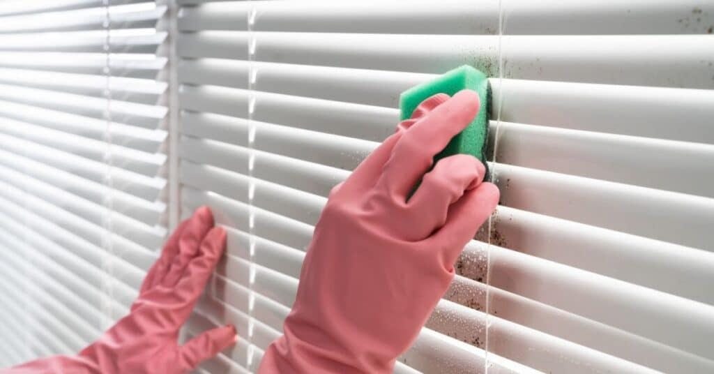 When professional blind cleaning is the best opt
