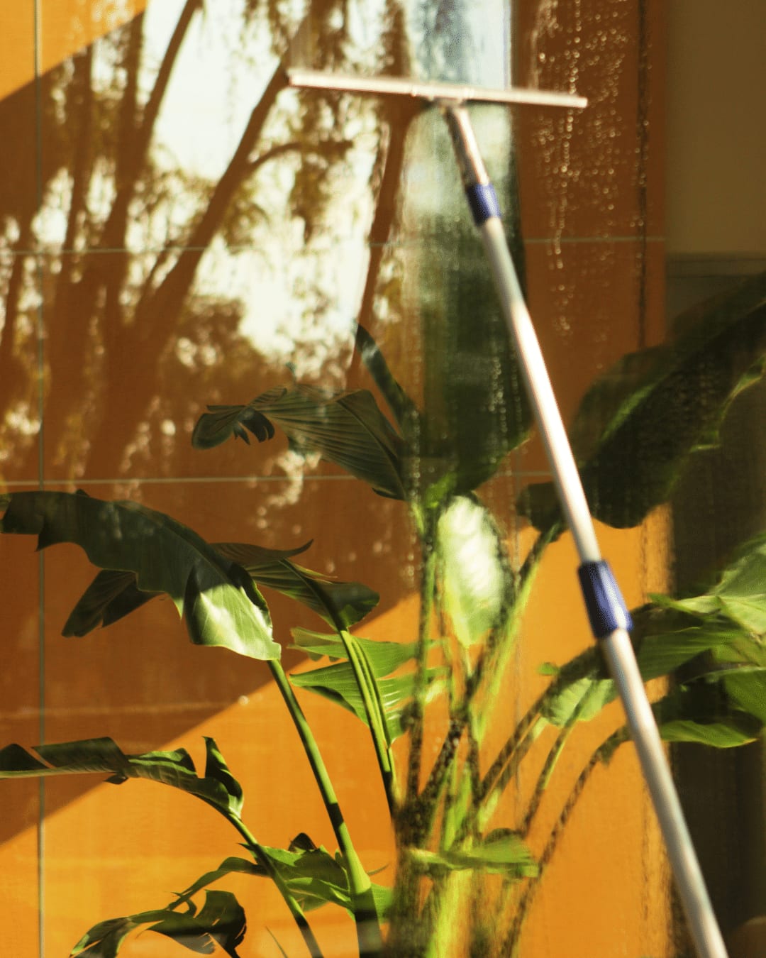 Top 5 Window Cleaning Tools To Invest In