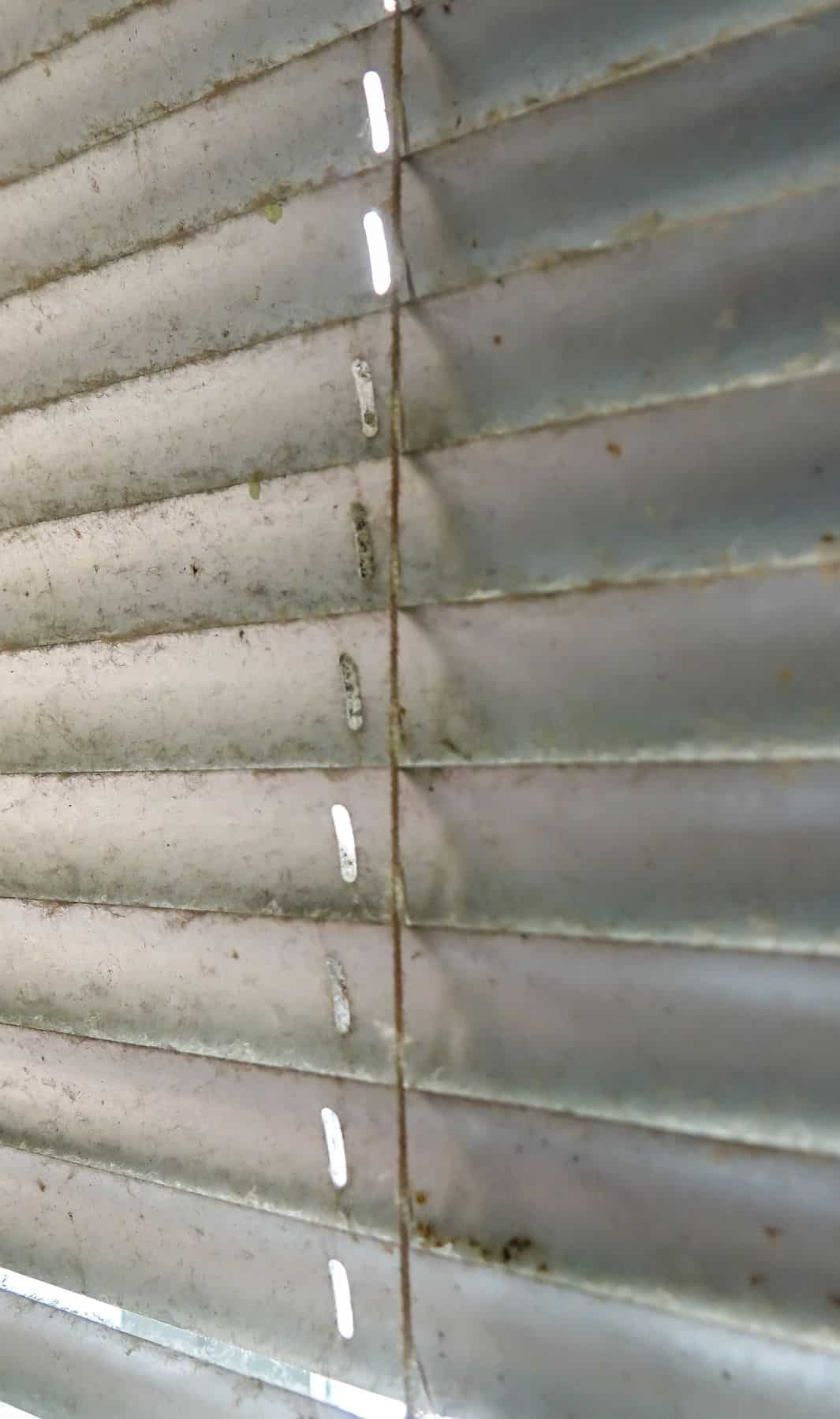 Close-up of dust and grease buildup on grimy blinds before a Bailey Boys deep clean in Sacramento
