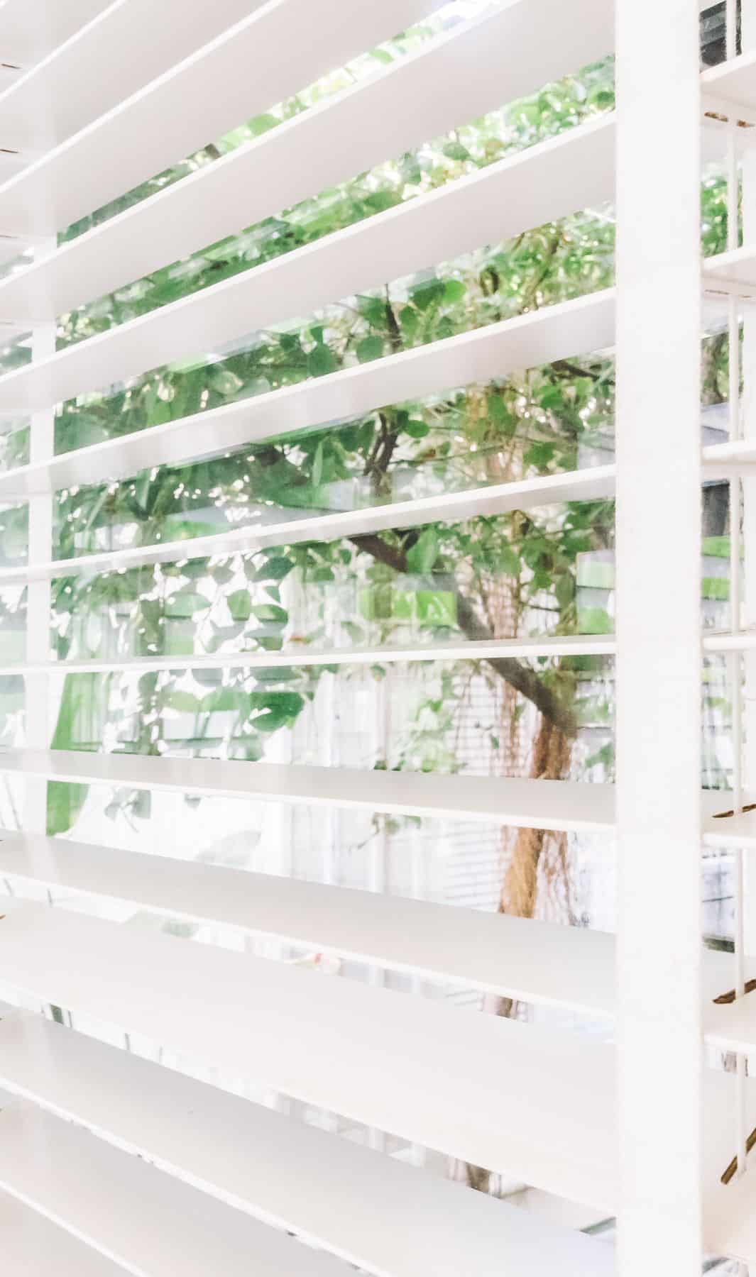 Freshly cleaned white wood blinds letting light into a Sacramento-area home