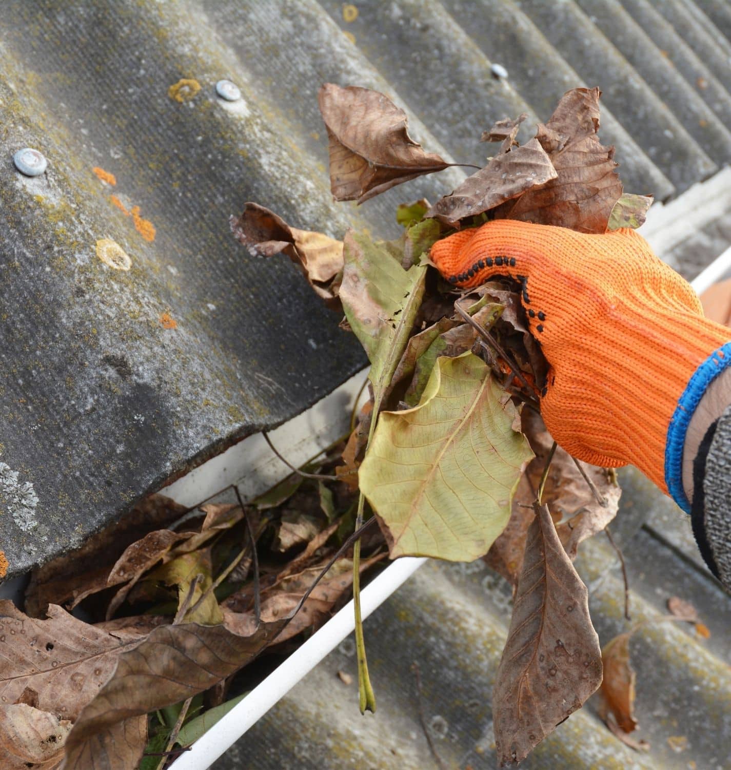 Commercial gutter cleaning on multi-story building