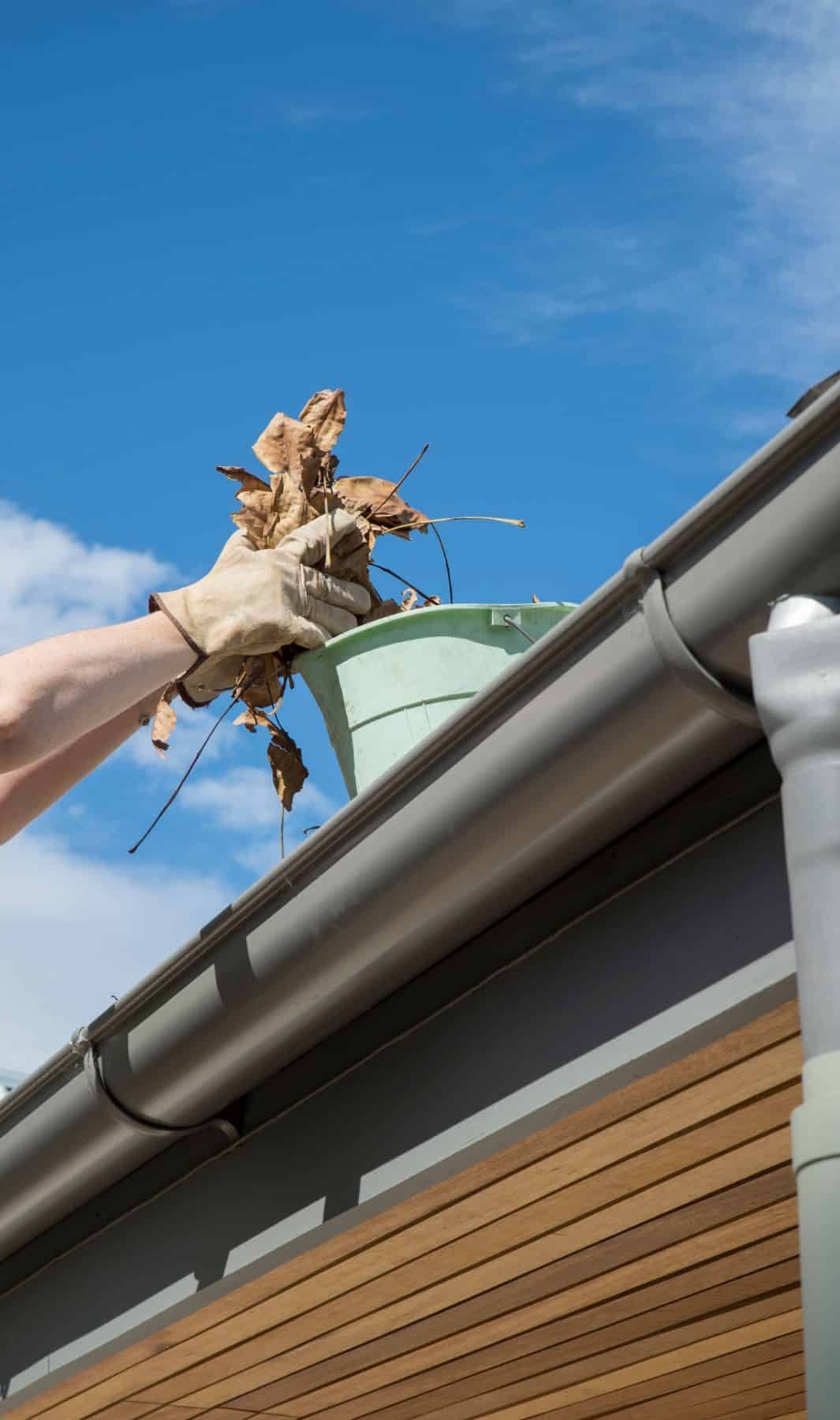 Home gutter leaf removal