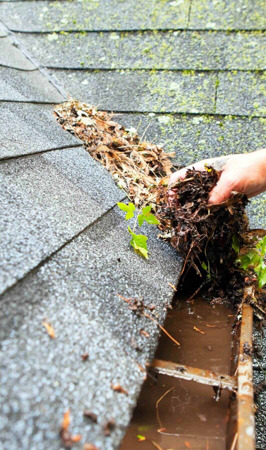 Clean residential gutters after service