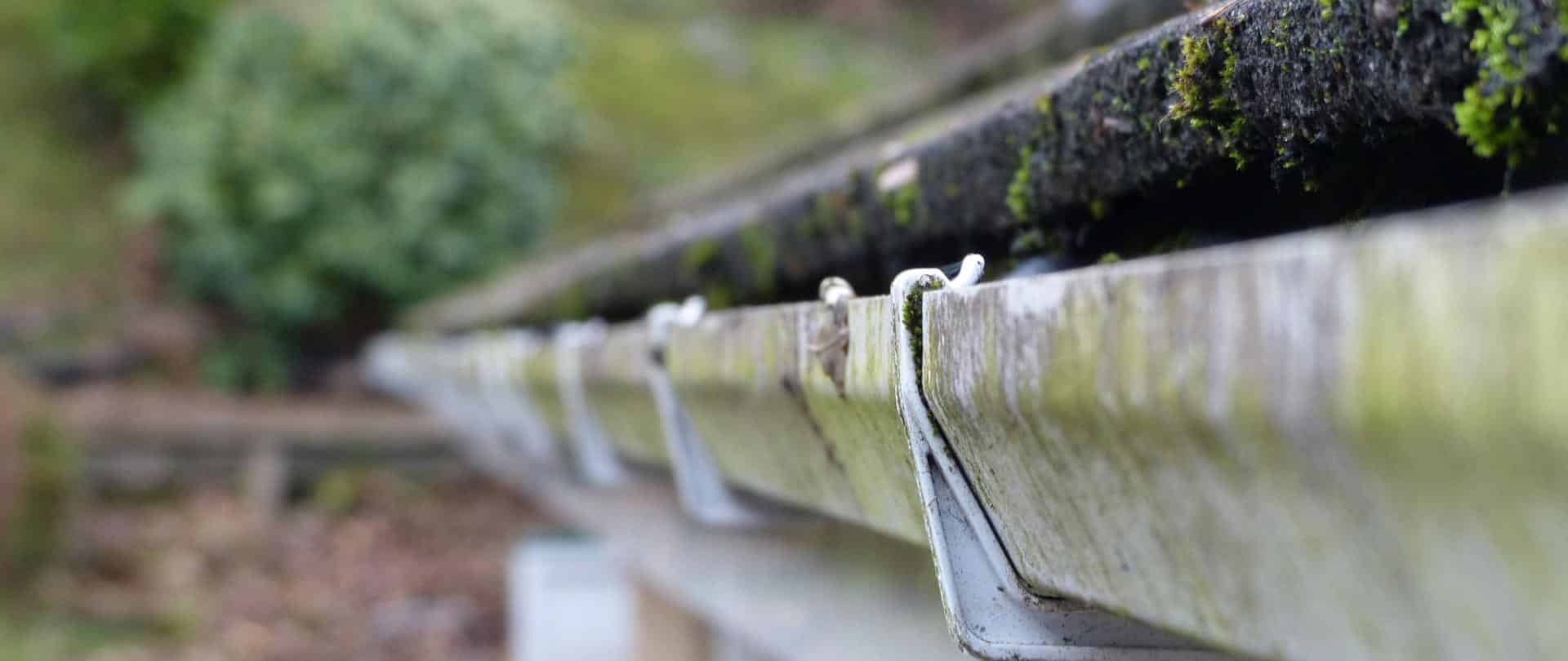 Gutter Cleaning service in Sacramento
