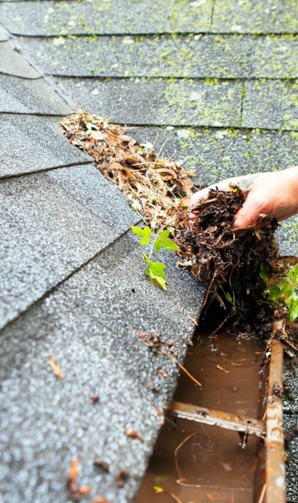 3 Gutter Cleaning Residential Gutter Cleaning