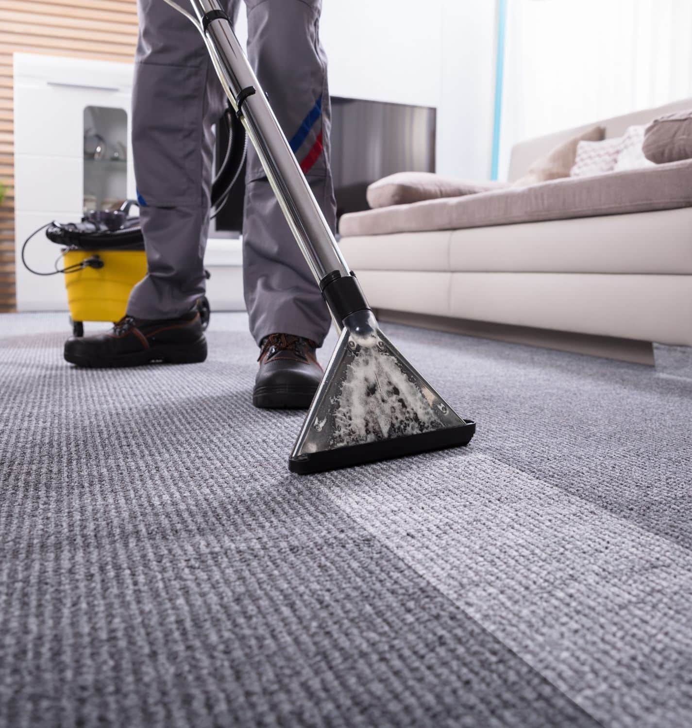 Carpet Cleaning Residential Carpet Cleaning Section 2